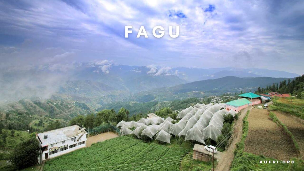Fagu