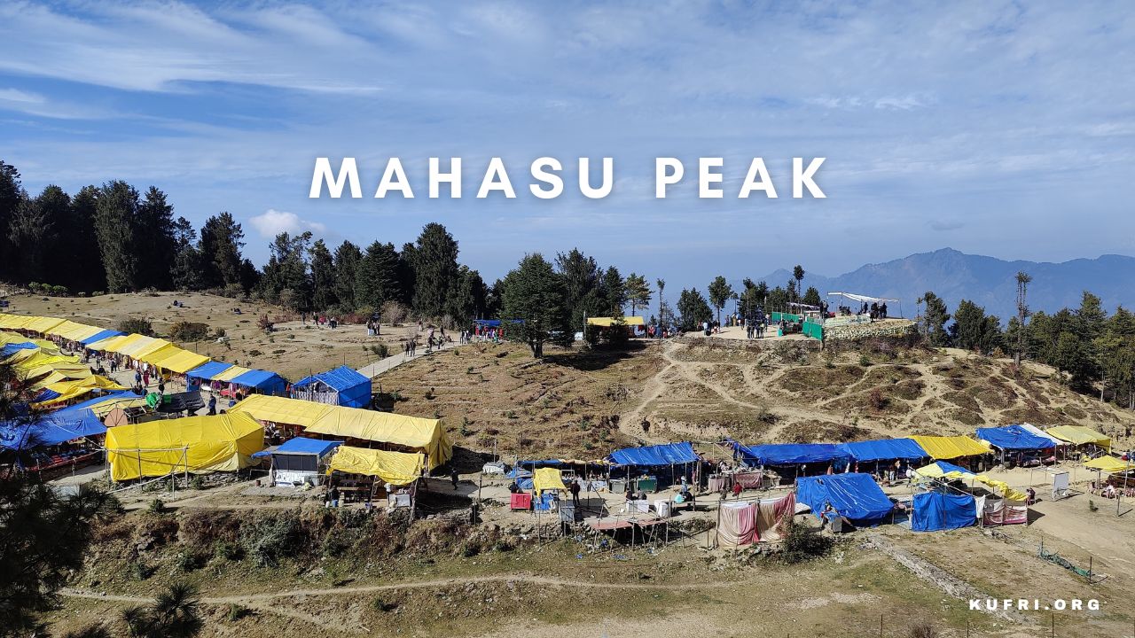 Mahasu Peak Kufri shimla