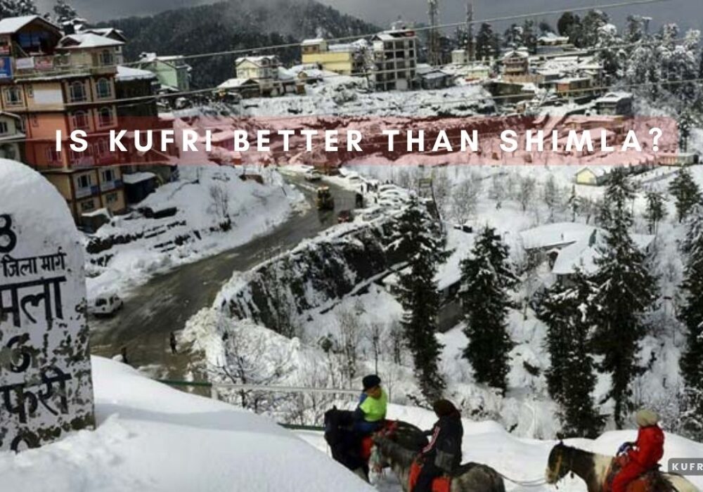 Is Kufri better than Shimla